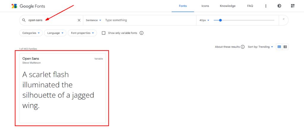 Google Fonts Library