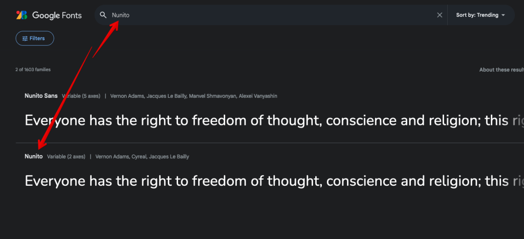 Google Fonts Nunito Font