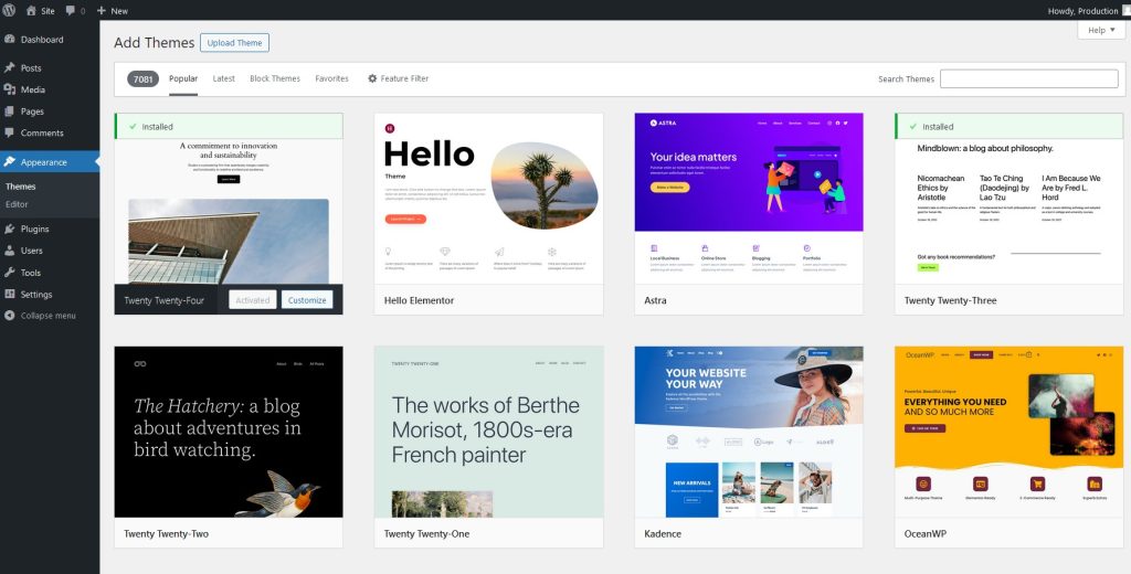 WordPress Themes Dashboard
